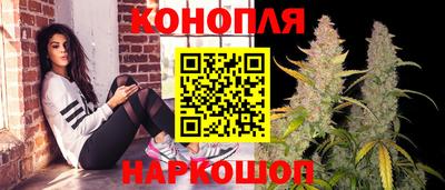 apvp Канаш