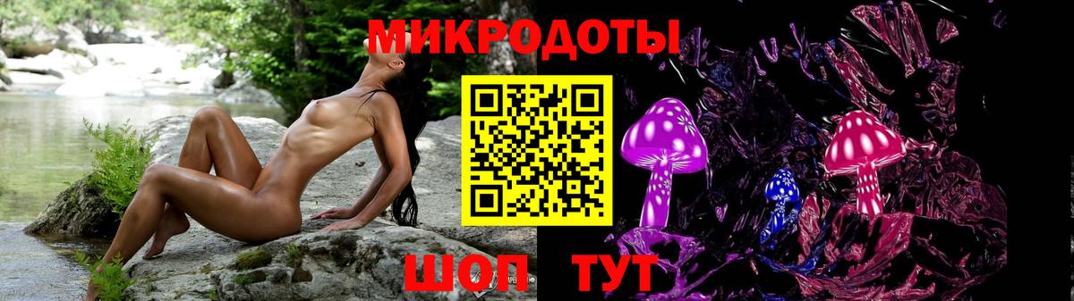 Галлюциногенные грибы Psilocybe Уссурийск
